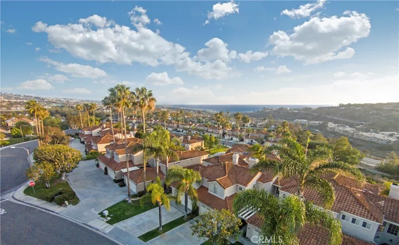 LST Neighborhood aerial view to the West