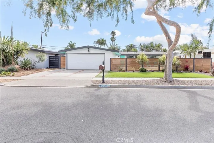 Street view with mature tree