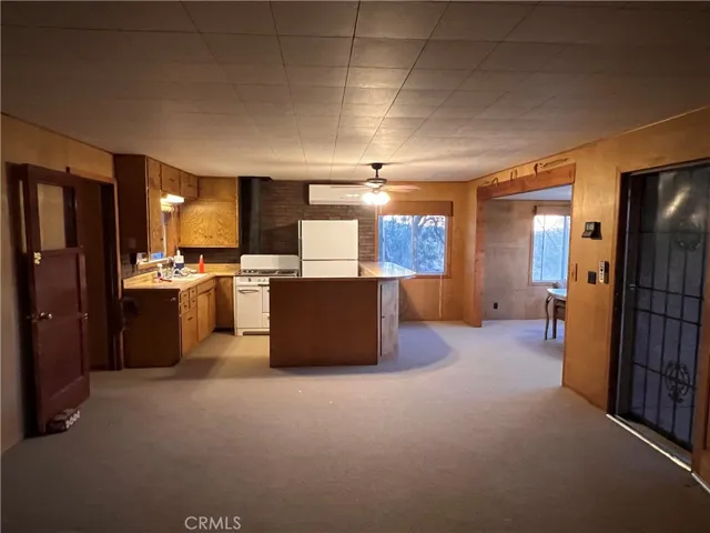 Living room and kitchen