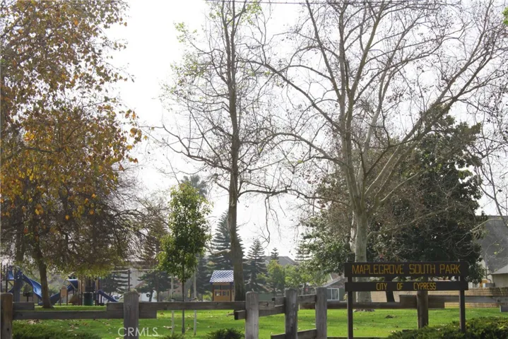 local park
