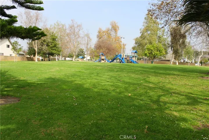 local park