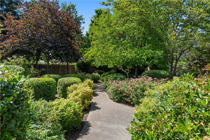 1037 Colmena Drive, Chico, California 95926