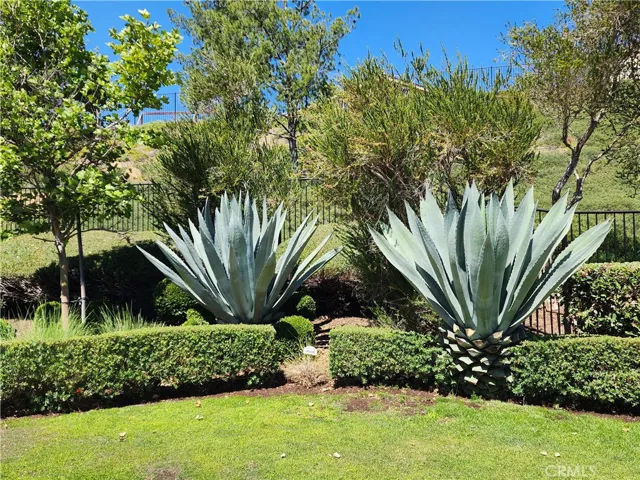 34191 Pinnata Court, Lake Elsinore, California 92532
