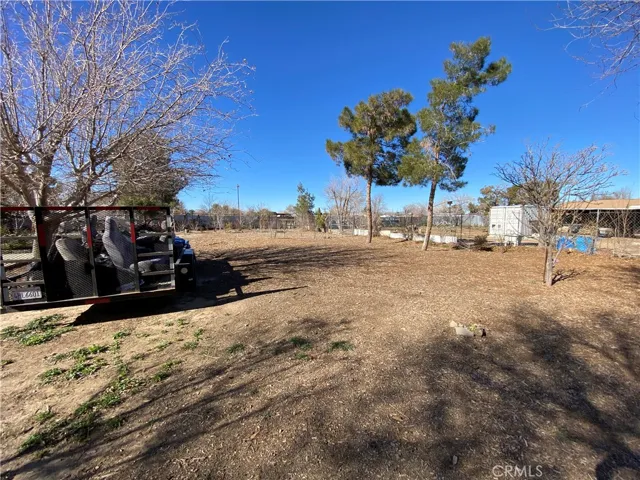 Back Yard 4