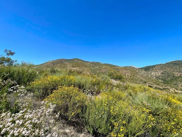 Highway 94, Dulzura, California 91935