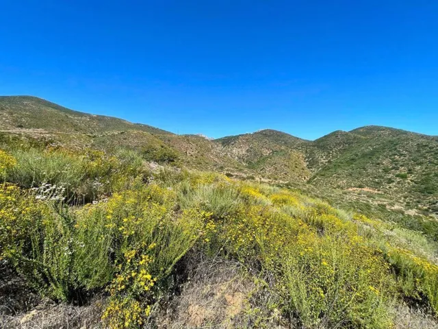Highway 94, Dulzura, California 91935