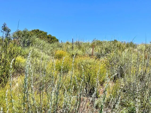 Highway 94, Dulzura, California 91935
