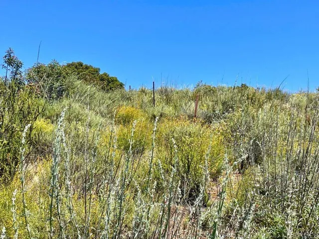 Highway 94, Dulzura, California 91935