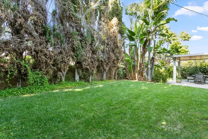Rear yard.