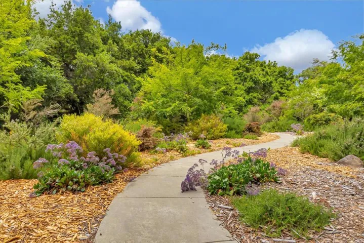 11761 Sierra Spring Court, Cupertino, California 95014