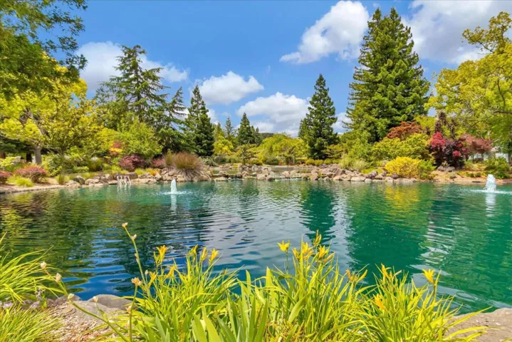 11761 Sierra Spring Court, Cupertino, California 95014