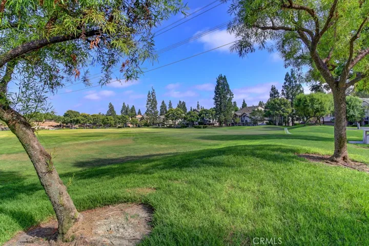 Park next door has tons of grass to run around on.