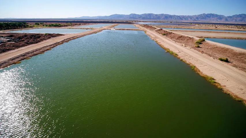 Fish Pond-AerialPhotos-16