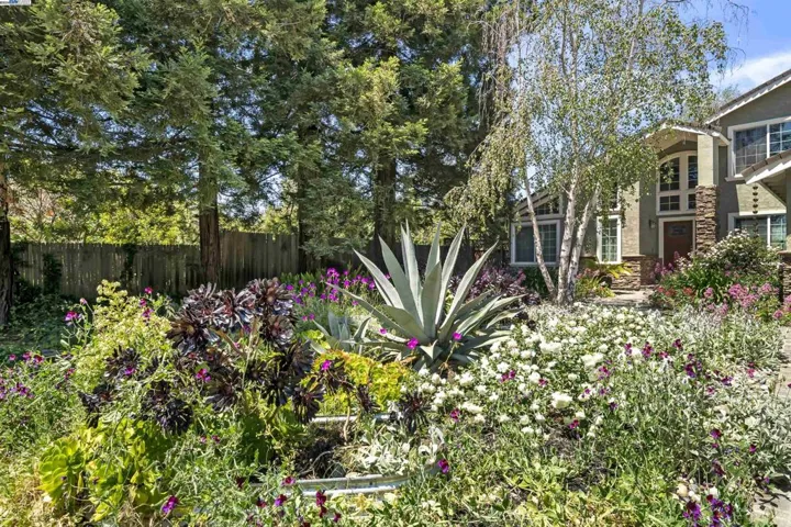 92 Santos Ct, Fremont, California 94536