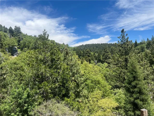 30914 Old City Creek Drive, Running Springs, California 92382