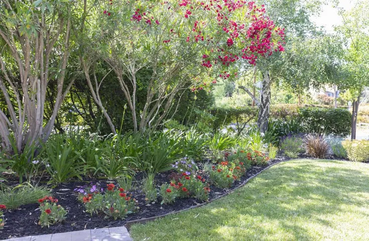 4008 Laguna Way, Palo Alto, California 94306