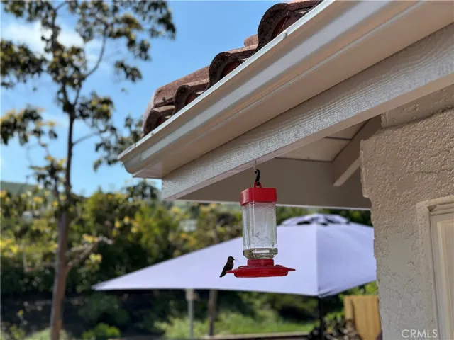 1354 Felipe 19, San Clemente, California 92673