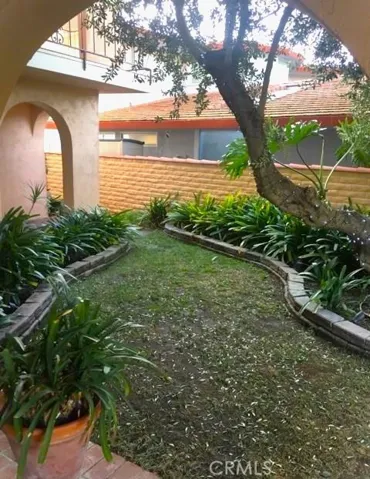 Front yard courtyard Grass