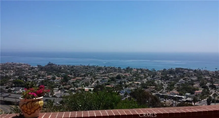 Back Yard Patio VIEW