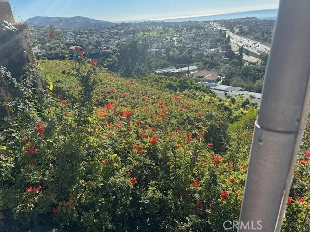 Fall away  City View