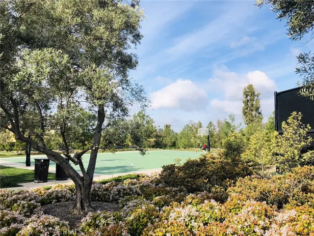 65 Tundra, Irvine, California 92602