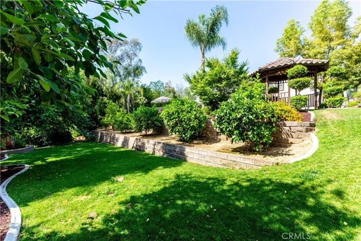 1436 Patricia Drive, Redlands, California 92373