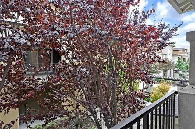 642 Elderberry Drive, Milpitas, California 95035