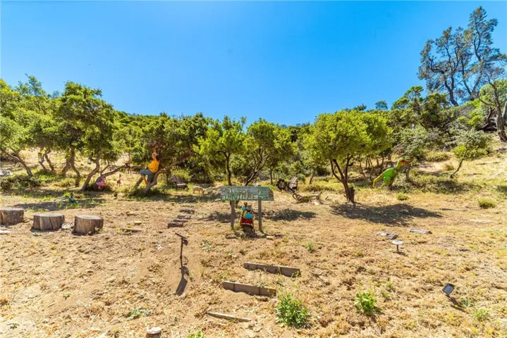 18303 Pine Canyon Road, Lake Hughes, California 93532