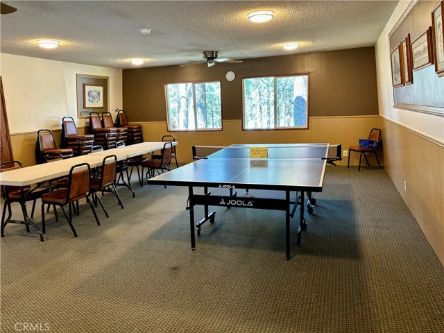 Community ping pong