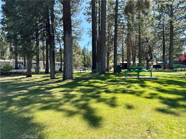 Community park
