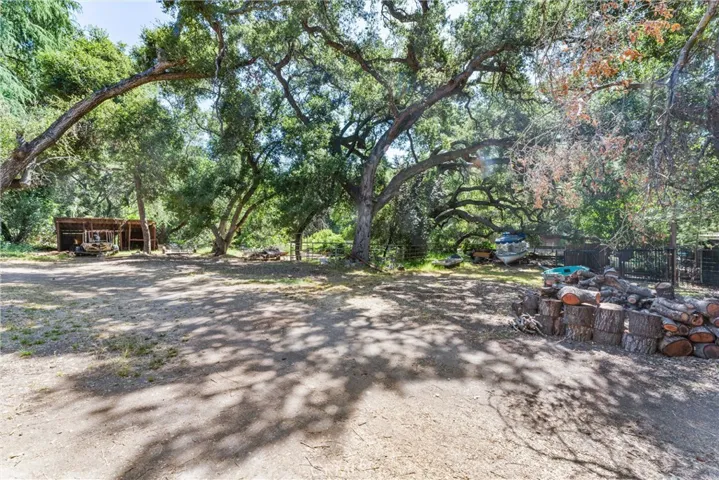 Room to grow (And look at those amazing Live Oaks!)
