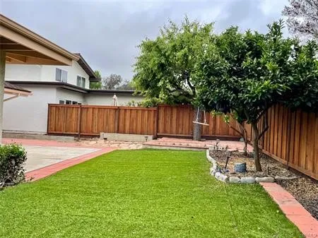 Beautiful backyard with Fruit trees.....