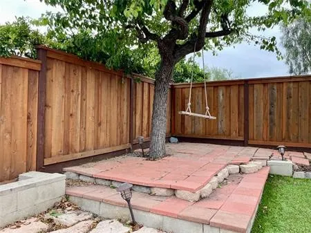 Beautiful backyard with Fruit trees.....