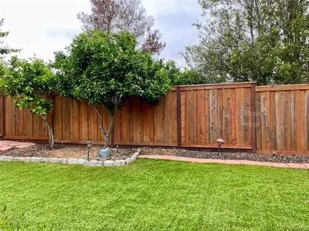 Beautiful backyard with Fruit trees.....