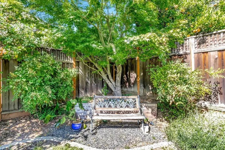 1039 Nightfall Court, San Jose, California 95120