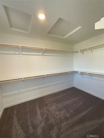 Primary Closet