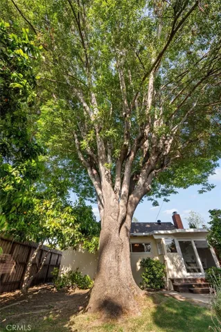 Massive Ash tree shades the yard & house.