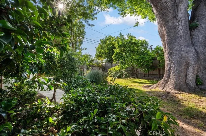 Looking from the enclosed patio.