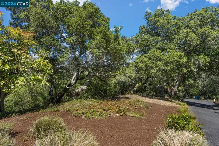 15 Miramonte Road, Orinda, California 94563