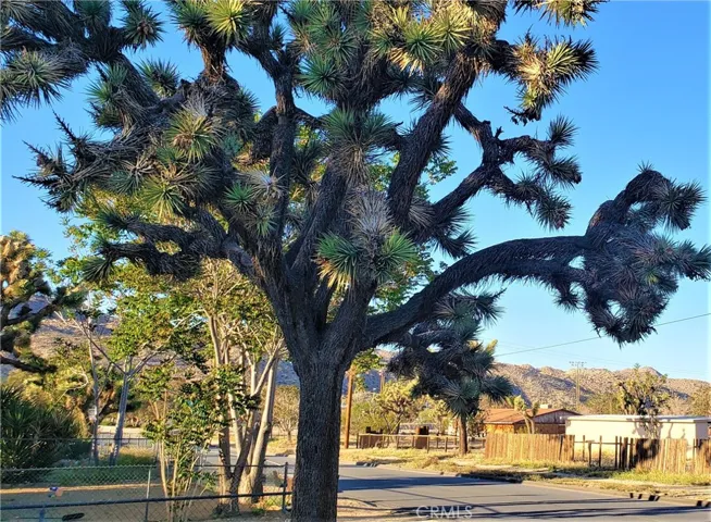 7204 Palm Avenue, Yucca Valley, California 92284