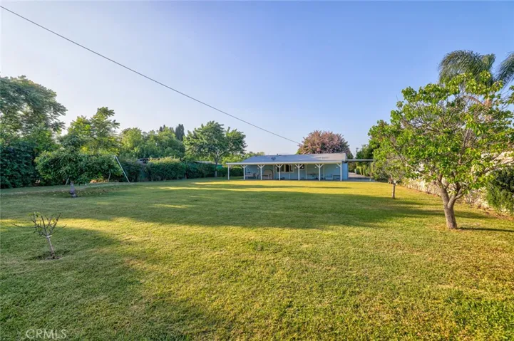 Grass area with fruit trees