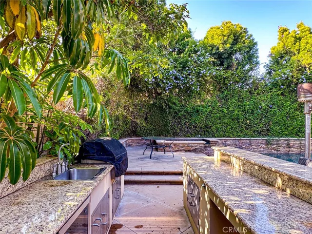 bbq area, granite counters, sink
