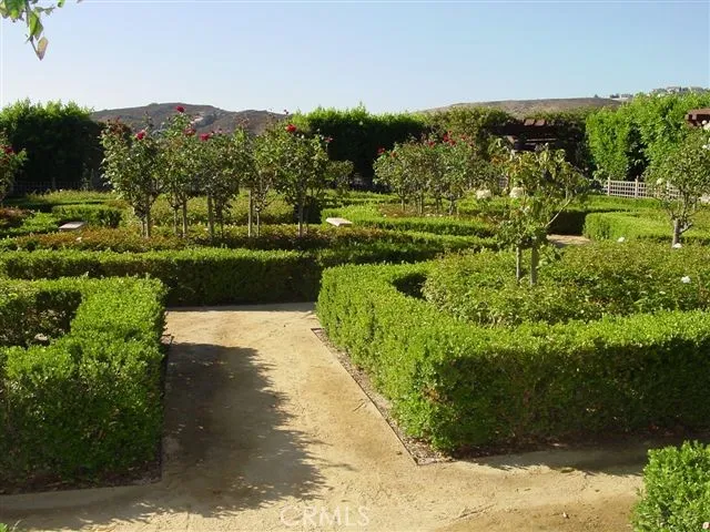 A gorgeous rose garden to visit.