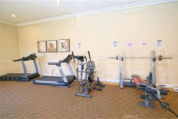 Cardio Exercise Equipment

