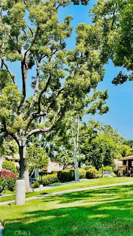 Community Green
