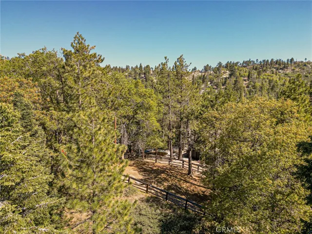 Aerial of two lots surrounding the cabin.