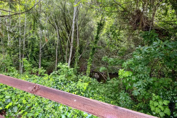 1380 Rosita Road, Pacifica, California 94044