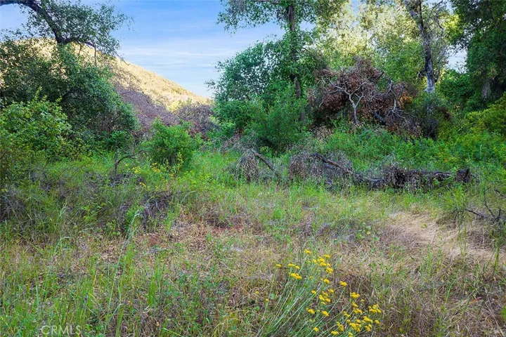 19 Hombre Lane, Murrieta, California 92562