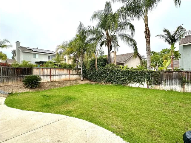Large back yard