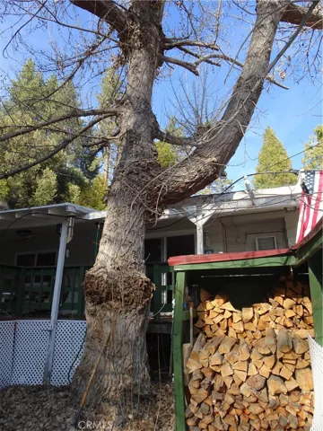partial view of wood shed